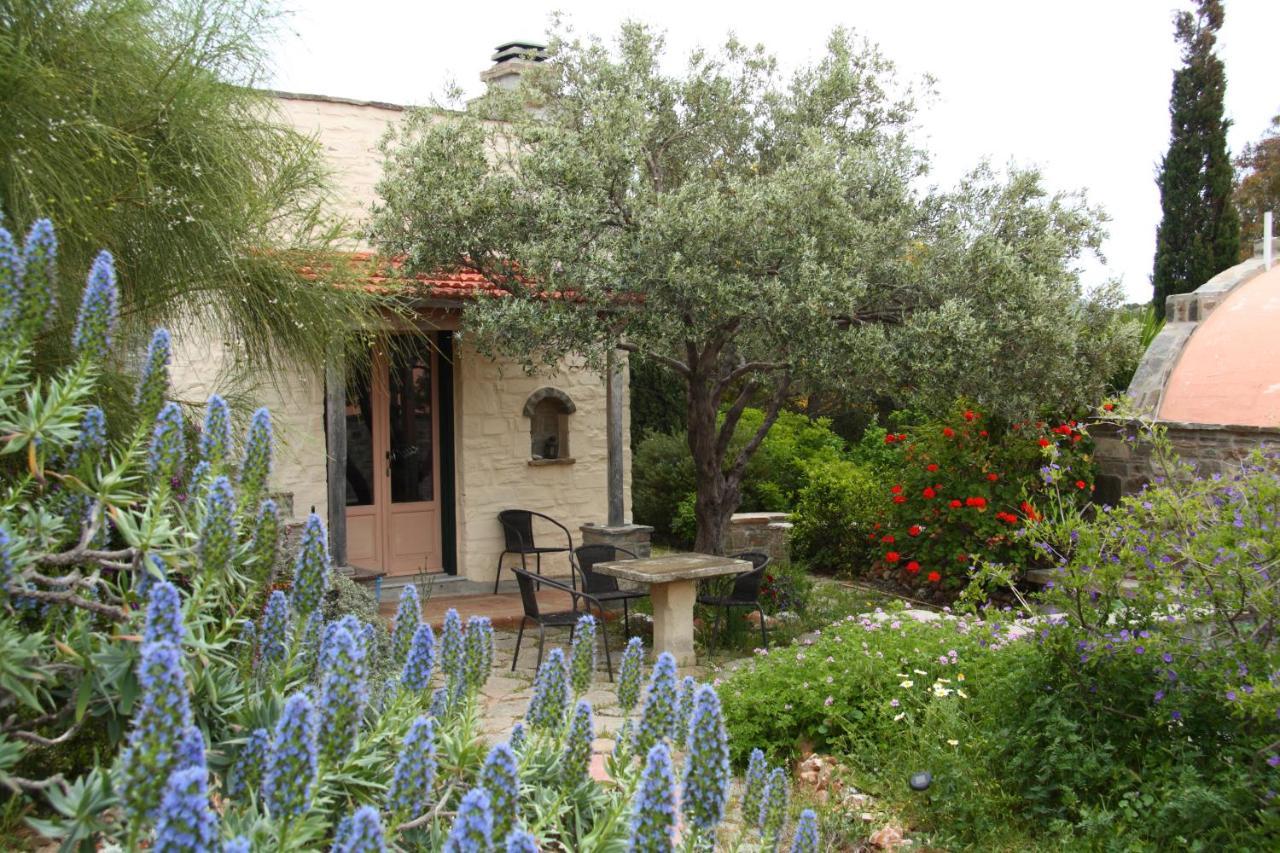 Hostal To The Garden Angairiá Exterior foto